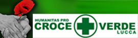 Logo Crove Verde