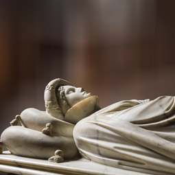 Cura Estinto Humanitas Lucca