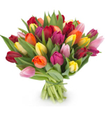 Bouquet Tulipanii